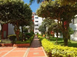 在CRA. 27 NO.105-250 AUTOPISTA FLORIDABLANCA出售的3 卧室 住宅, Floridablanca, Santander