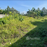  Land for sale in Takua Thung, Phangnga, Khok Kloi, Takua Thung