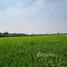  Land for sale in Khlong Luang Pathum Thani, Khlong Nueng, Khlong Luang, Pathum Thani