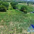 Terrain à vendre à Imbert, Puerto Plata, Imbert
