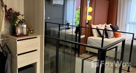 ยูนิตมือสองและให้เช่า