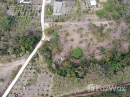  Land for sale in Tha Wang Pha, Nan, Yom, Tha Wang Pha