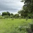  Land for sale in Kut Pong, Loei, Kut Pong, Mueang Loei, Loei