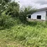  Land for sale in Thalang Phuket, Pa Khlok, Thalang, Phuket