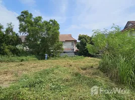 ขายที่ดิน ในโครงการ สะปำ วิลเลจ, เกาะแก้ว