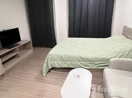 Dcondo Reef Phuket에서 임대할 스튜디오입니다 콘도, 카투, 카투, 푸켓