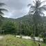  Grundstück zu verkaufen in Ko Pha-Ngan, Surat Thani, Ko Pha-Ngan, Ko Pha-Ngan