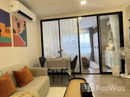 1 Bedroom Condo for rent at Dcondo Reef Phuket, Kathu