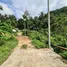  Grundstück zu verkaufen in Koh Samui, Surat Thani, Maret