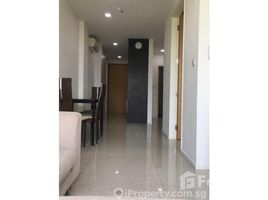2 Bedroom Condo for rent at Race Course Road, Farrer park, Rochor, Central Region, Singapore