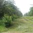  Land for sale in Limon, Pococi, Limon