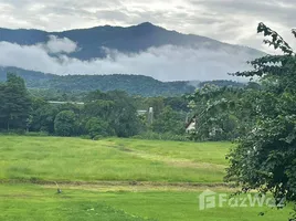 ขายที่ดิน ใน เชียงใหม่, ริมใต้, แม่ริม, เชียงใหม่