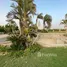7 Habitación Villa en venta en City View, Cairo Alexandria Desert Road