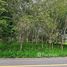  Land for sale in Mueang Nakhon Si Thammarat, Nakhon Si Thammarat, Chai Montri, Mueang Nakhon Si Thammarat