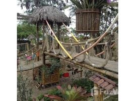 12 Habitación Casa en alquiler en Ecuador, Manglaralto, Santa Elena, Santa Elena, Ecuador