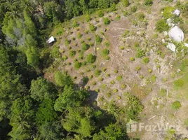 ขายที่ดิน ใน บ้านใต้, สุราษฎร์ธานี, บ้านใต้, เกาะพะงัน