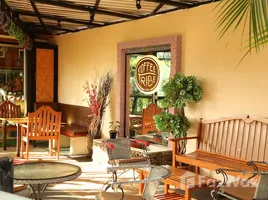 ขายร้านขายของ 2 ห้องนอน ใน ราไวย์, ภูเก็ต, ราไวย์