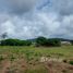  Land for sale in Chalong, Phuket Town, Chalong