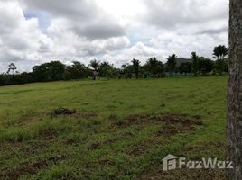  Terreno (Parcela) en venta en Grecia, Alajuela, Grecia