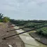  Земельный участок for sale in Bang Yang, Samut Sakhon, Bang Yang, Krathum Baen, Samut Sakhon, Таиланд