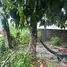  Land for sale in Pa Khlok, Phuket, Pa Khlok