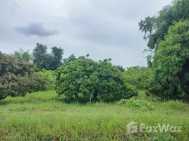 チェンマイ で売却中 土地区画, Makhun Wan, サンパン, チェンマイ