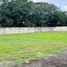  Land for sale in Pococi Limon, Pococi, Limon