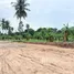 ขายที่ดิน ใน บ่อผุด, สุราษฎร์ธานี, บ่อผุด