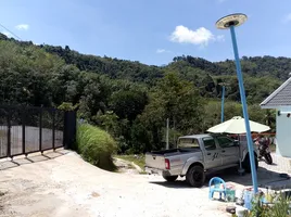  Land for sale in Thai Mueang Phangnga, Na Toei, Thai Mueang, Phangnga