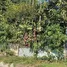  Grundstück zu verkaufen im Alajuela, San Ramon, Alajuela