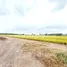  Land for sale in Ho Mok, Phra Nakhon Si Ayutthaya, Ho Mok, Bang Sai