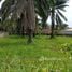  Land for sale in Si Sunthon, Phuket, Si Sunthon