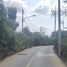 Land for sale in Thalang, Phuket, Choeng Thale, Thalang