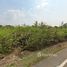  Land for sale in Chachoengsao, Wang Yen, Plaeng Yao, Chachoengsao