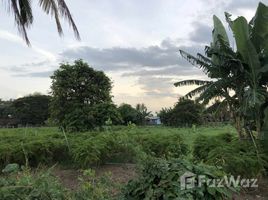  Terreno (Parcela) en venta en Lop Buri, Talung, Mueang Lop Buri, Lop Buri