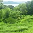 在Guanacaste出售的 土地, Tilaran, Guanacaste