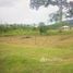  Land for sale in El Progreso, Yoro, El Progreso, Yoro, Honduras