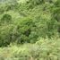  Terreno (Parcela) en venta en Costa Rica, Aguirre, Puntarenas, Costa Rica