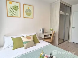 คอนโด 1 ห้องนอน ให้เช่า ในโครงการ แอทโมซ ทรอปิคาน่า บางนา, บางนา, บางนา