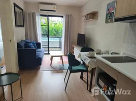 คอนโด 1 ห้องนอน ให้เช่า ในโครงการ เดอะ ฟอร์ คอนโดมิเนียม, สุเทพ