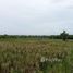  Land for sale in Tabanan, Bali, Kediri, Tabanan