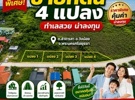  Land for sale in Lam Ta Sao, Phra Nakhon Si Ayutthaya, Lam Ta Sao, Wang Noi, Phra Nakhon Si Ayutthaya, Thailand