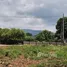 Land for sale in Mu Si, Nakhon Ratchasima, Mu Si