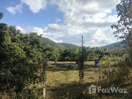  Land for sale in Lamphun, Si Bua Ban, Mueang Lamphun, Lamphun