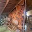 3 Habitación Villa en venta en Costa Rica, Alajuela, Alajuela, Costa Rica