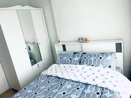 1 Habitación Apartamento en alquiler en The Base Rama 9 - Ramkhamhaeng, Hua Mak, Bang Kapi, Bangkok, Tailandia