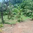  Grundstück zu verkaufen in Las Terrenas, Samana, Las Terrenas, Samana, Dominikanische Republik