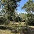  Land for sale in Tha Pradu, Songkhla, Tha Pradu, Na Thawi, Songkhla