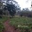  Land for sale in Morona Santiago, Chiguaza, Huamboya, Morona Santiago