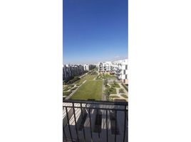 Studio Apartment for rent at The Courtyards, Sheikh Zayed Compounds, Sheikh Zayed City